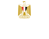 وزارة التعليم العالى